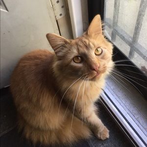 Meet your Posher, Jasmine